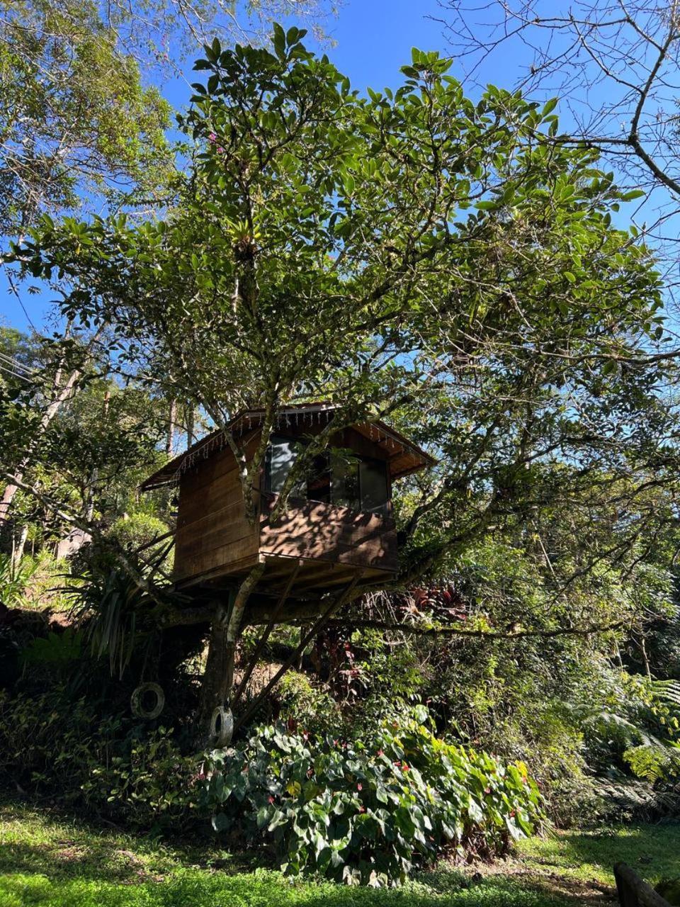 Teresópolis Pousada Sitio E Poesia מראה חיצוני תמונה